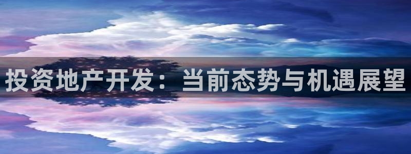 永利公司是做什么的