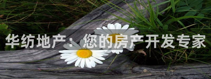 永利官网误乐域一个币多少钱