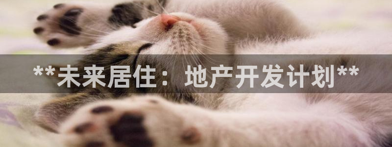永利现场