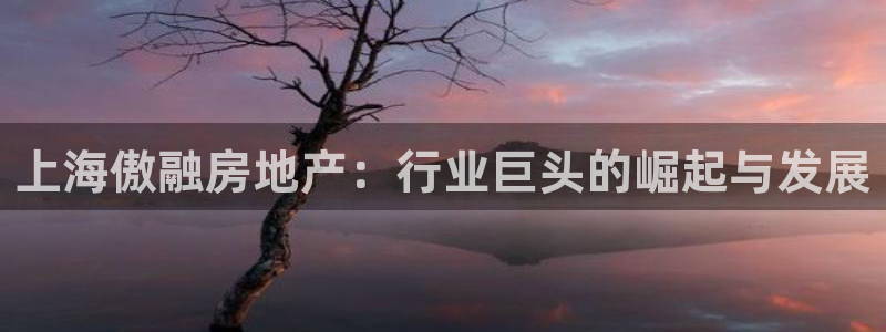 永利杯掼蛋比赛