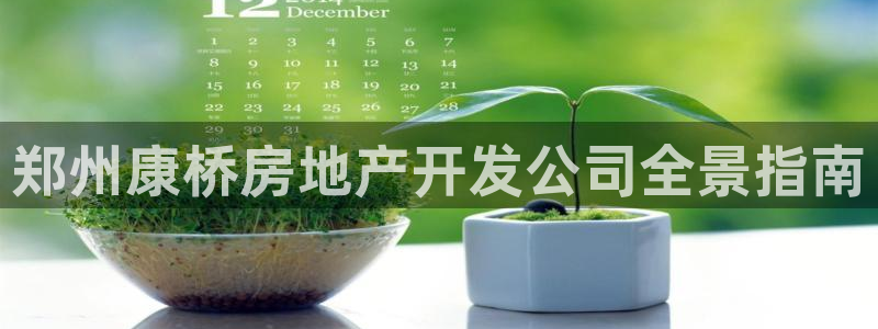 永利现场