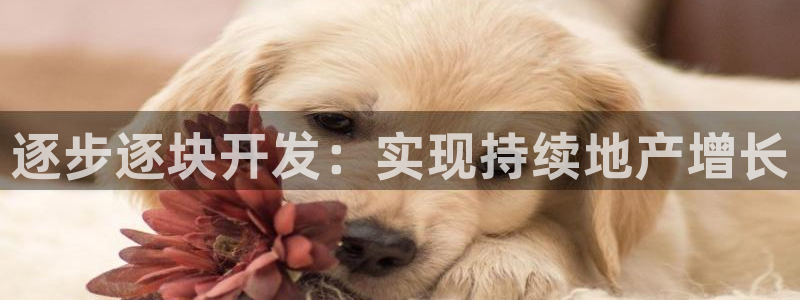 永利金控控股有限公司