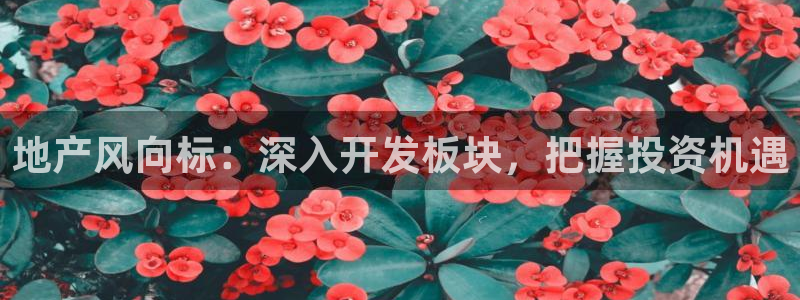永利来织带厂