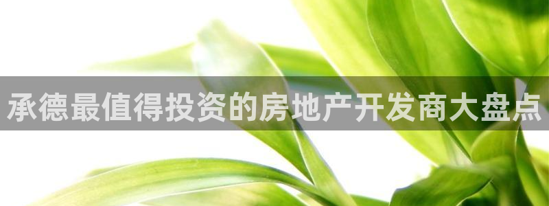 永利股份公司