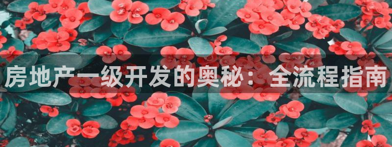 永利网怎么了打不开