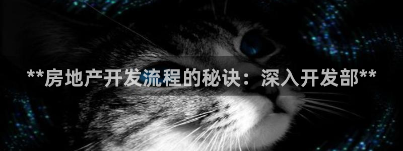 永利网是干什么的,能挣到钱吗知乎
