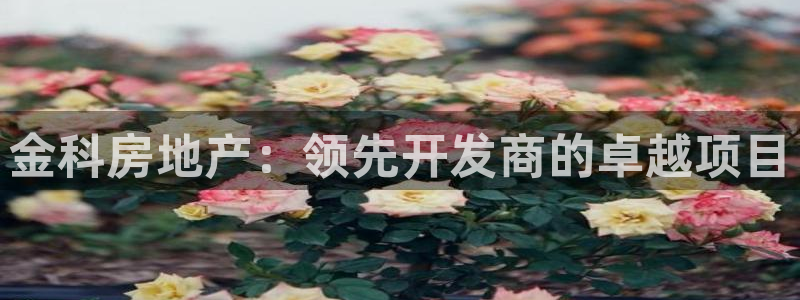 永利房地产有限公司怎么样
