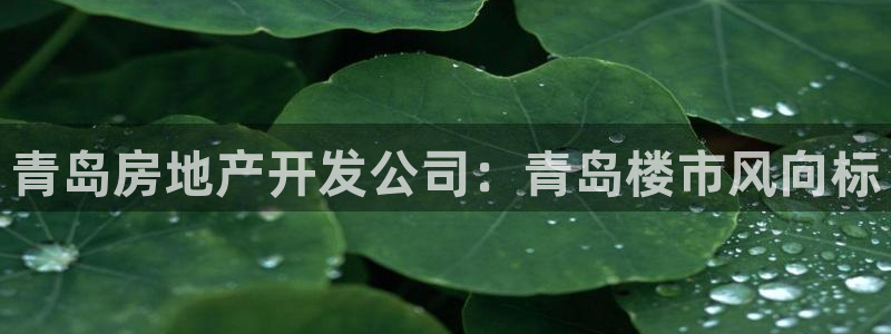 永利皇府黄立青个人资料