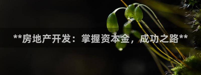 永利是做什么的
