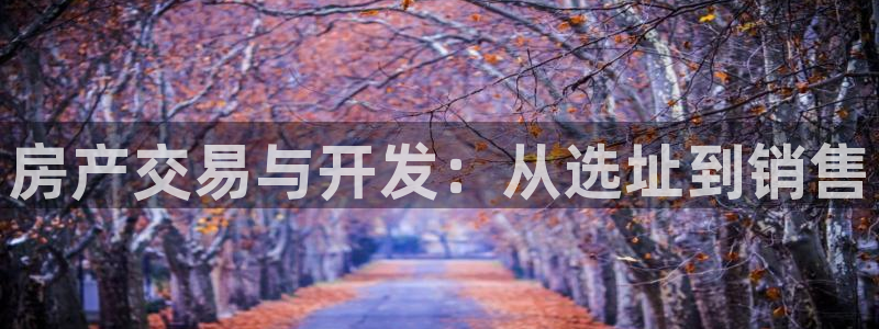 永利官网可信吗