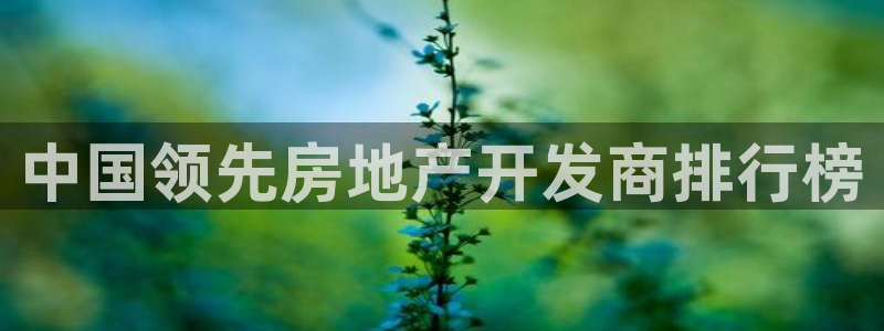 永利皮带官网价格查询表