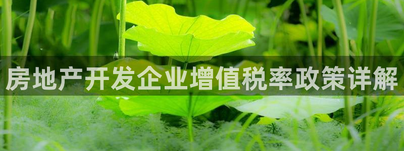 为什么永利会打不开了