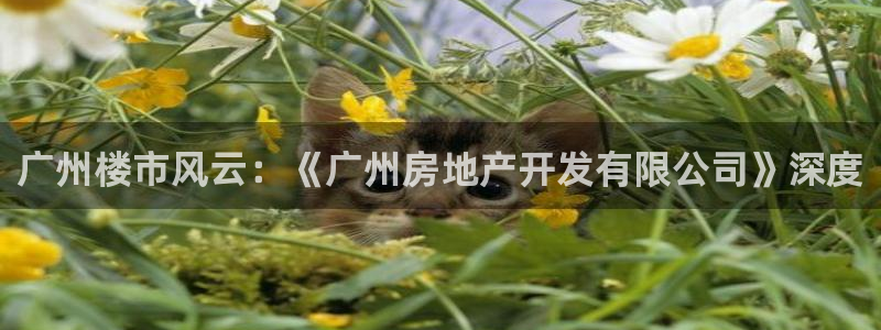 永利汇有什么服务