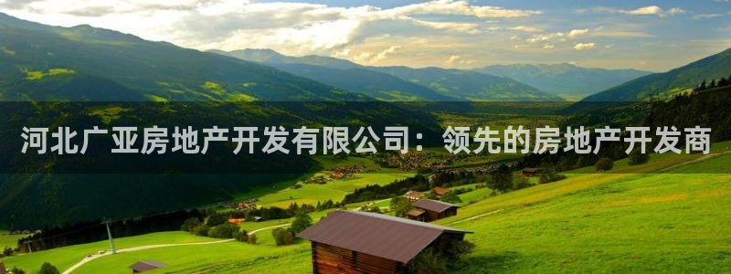 浙江永利集团董事长