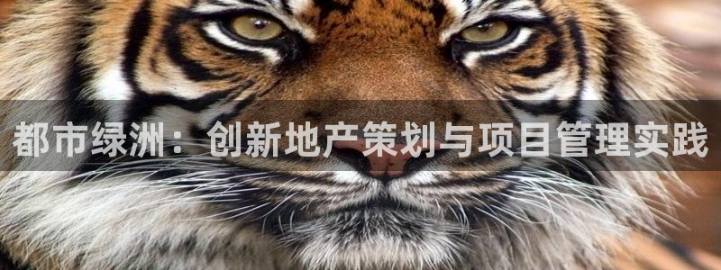 谁知道永利的网址是多少