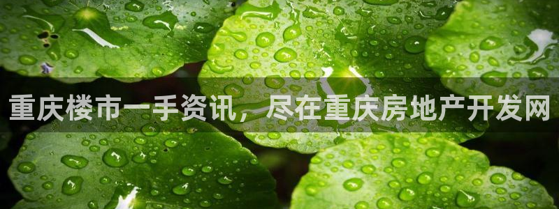永利鞋业
