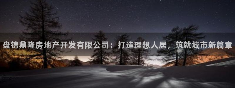 永利地产工程有限公司