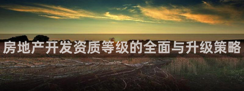 永利房地产有限公司