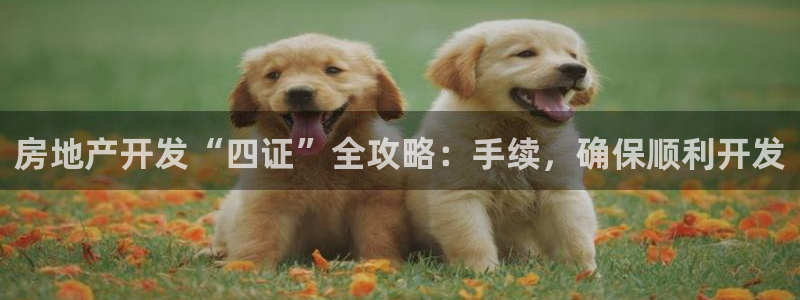 永利官网查询
