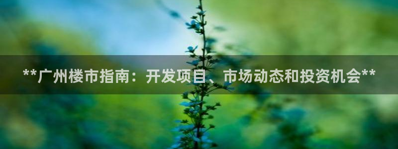 永利制带公司管理人员名单