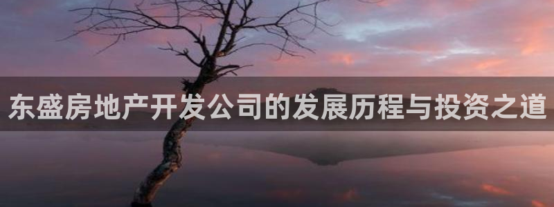 永利酒店有几家