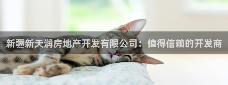 永利中国股票
