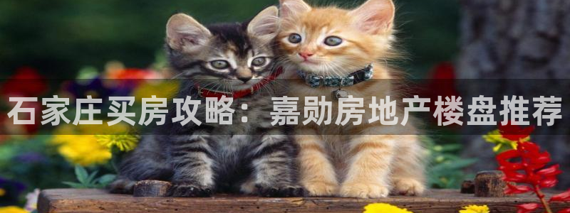 永利地产