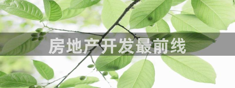 永利表行假货