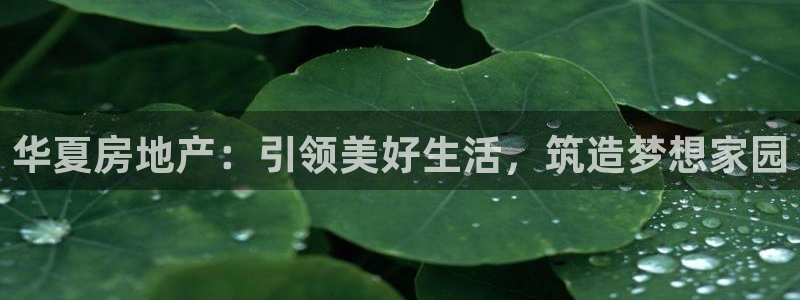 永利网9900777公司的地址