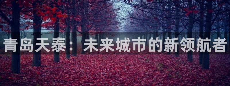 永利pc网址