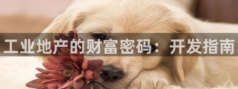 为什么永利会打不开了