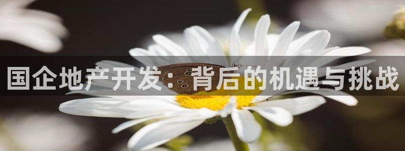永利房地产开发有限公司