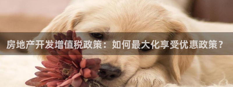 永利汇客房价格