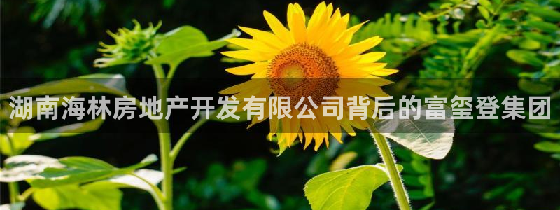 永利制版