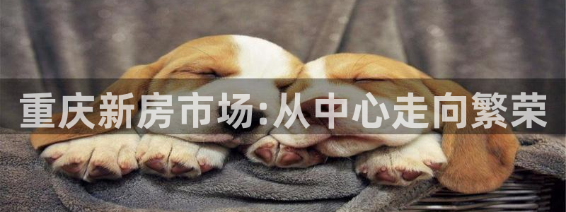 永利信誉网址