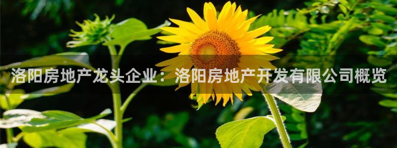 永利皮具厂东莞