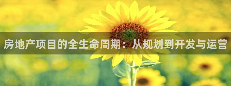 永利家具厂