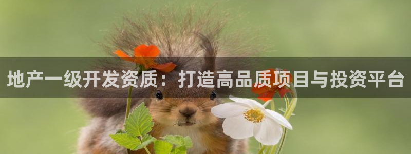 永利保险公司排名