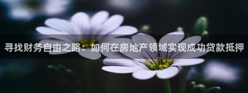 永利带钢