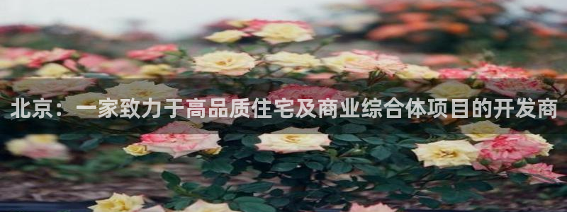 永利橡胶有限公司