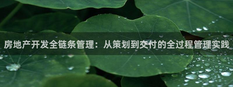永利 老板