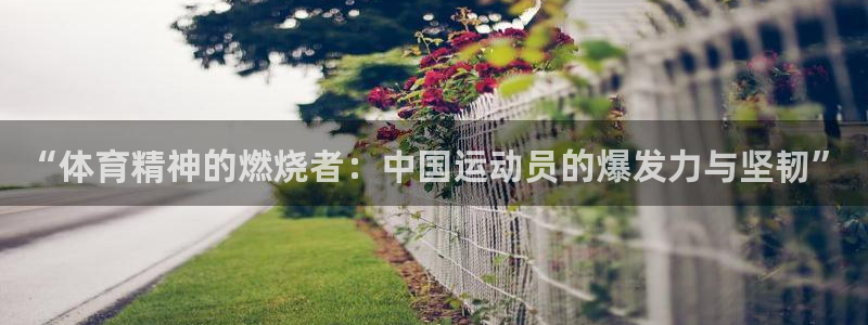 熊猫体育在线