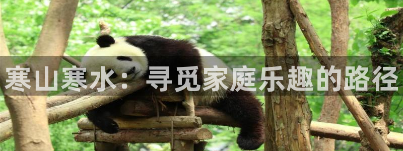 成都金熊猫体育