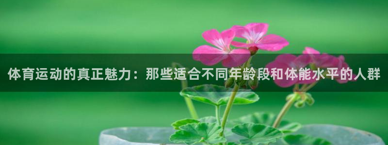 熊猫体育app官网入口