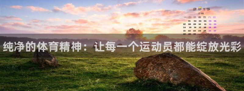 动感熊猫体育公园