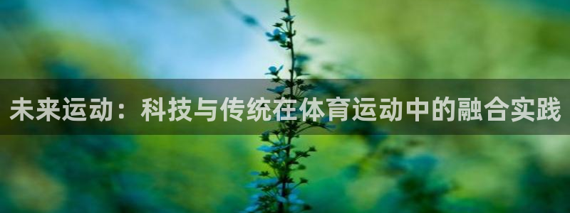 181熊猫体育
