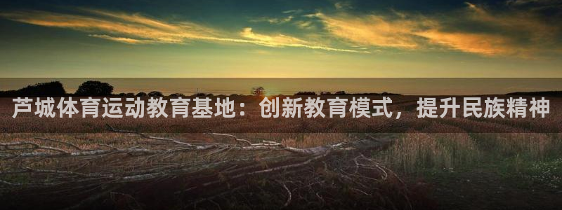 下载熊猫体育