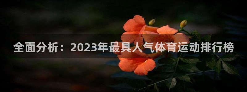 181熊猫体育