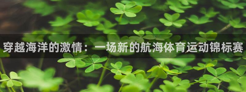 熊猫体育app官方入口