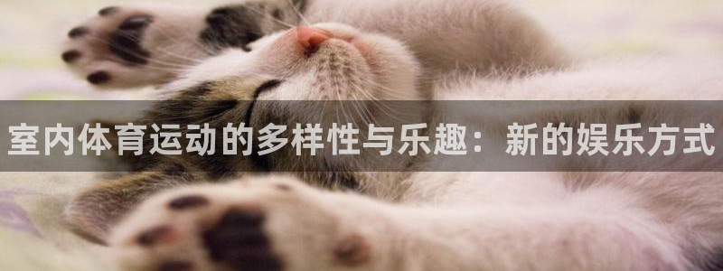 熊猫体育直播